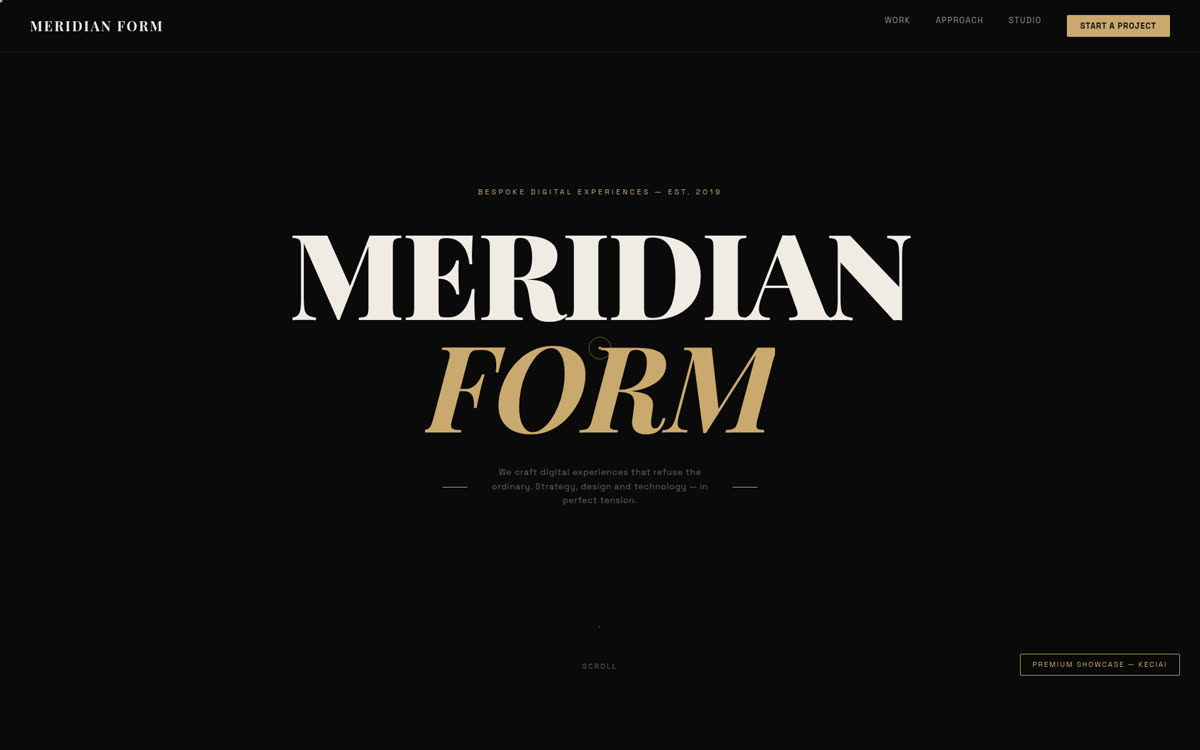 Meridian Form premium showcase demo